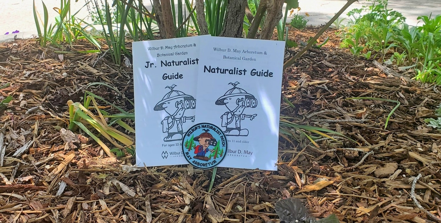 Become a Naturalist with our Wilbur Naturalist Guides!